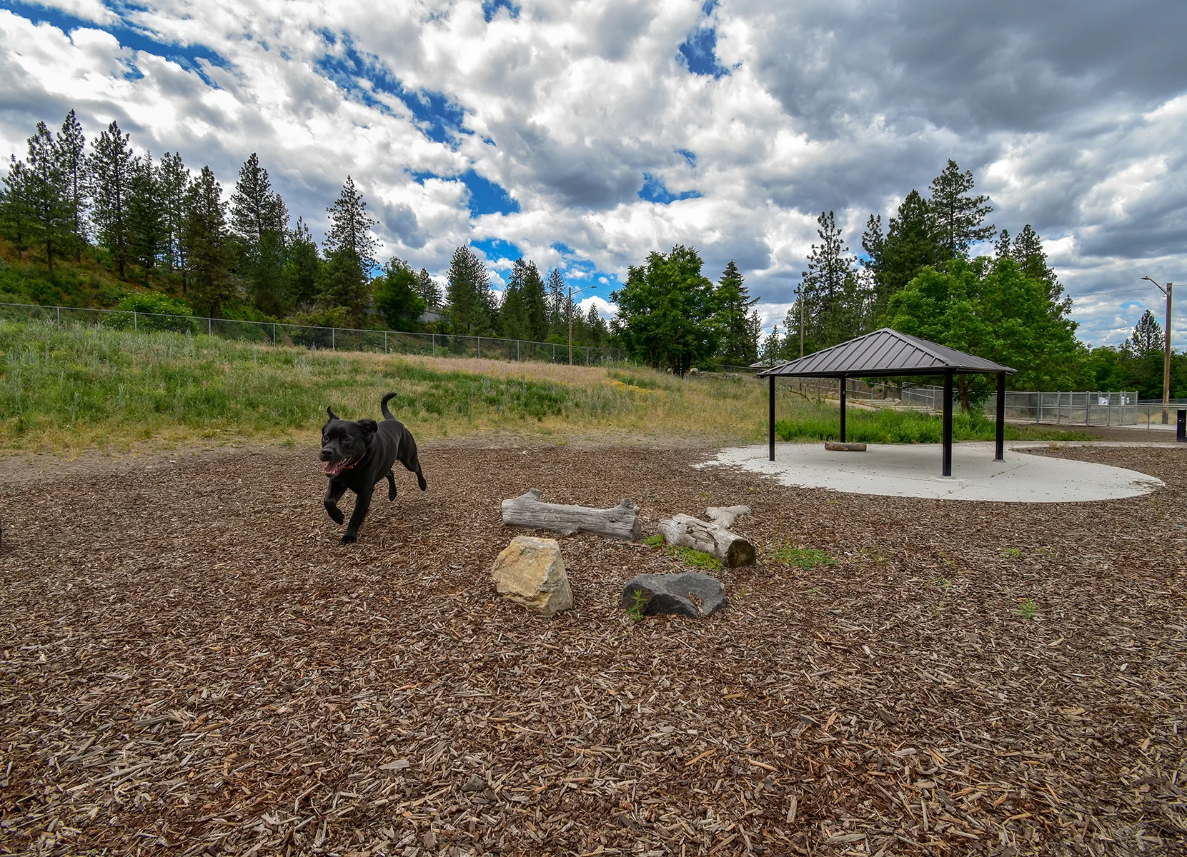 High Bridge Dog Park, Spokane, WA