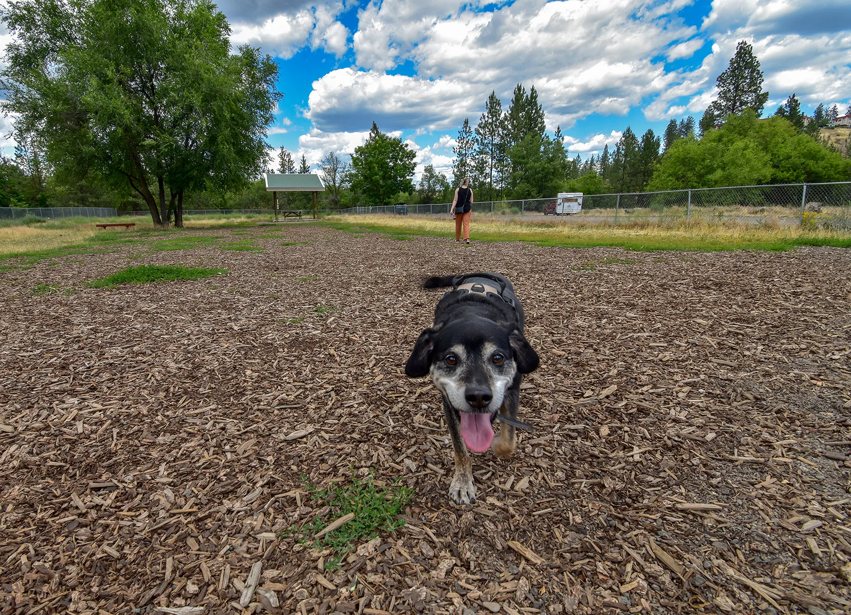 High Bridge Dog Park, Spokane, WA