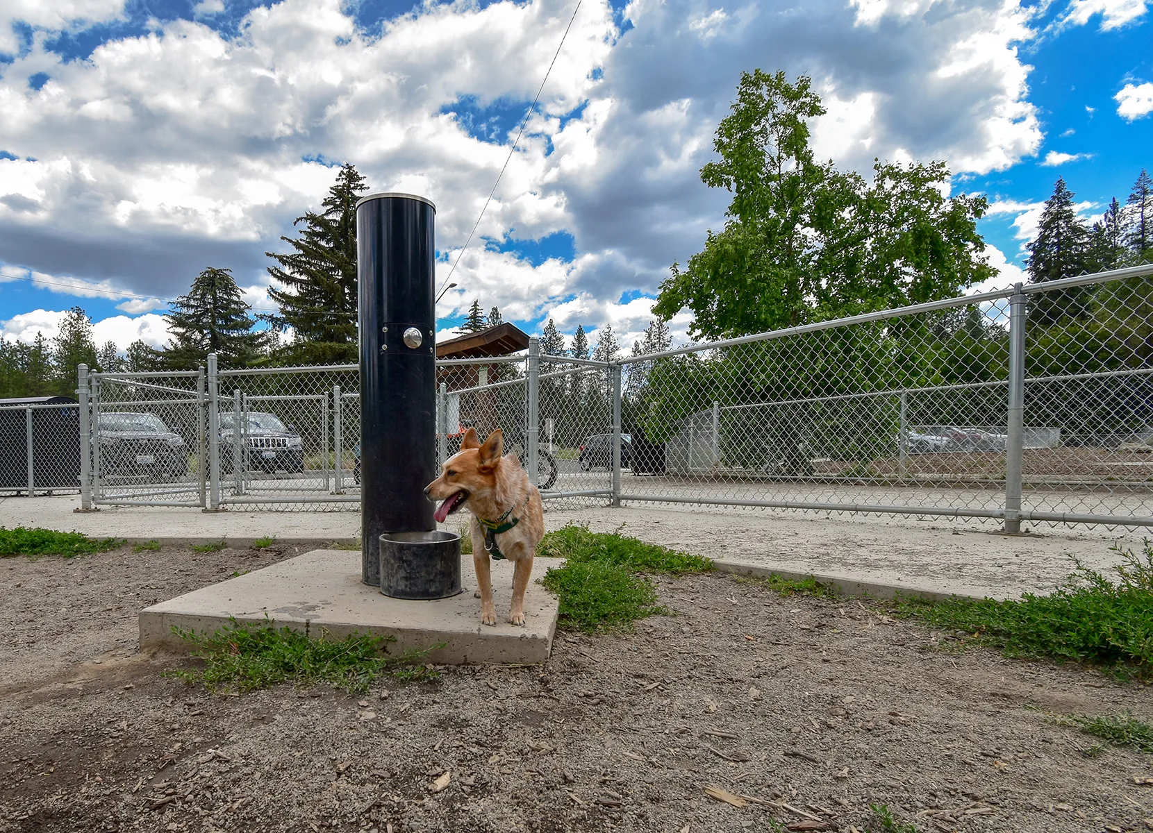 High Bridge Dog Park, Spokane, WA