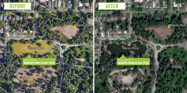 Manito Park, Mirror Pond - Before & After