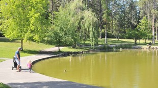 Mirror Pond - Before